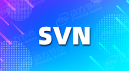 SVN視頻教程 初學(xué)者必備