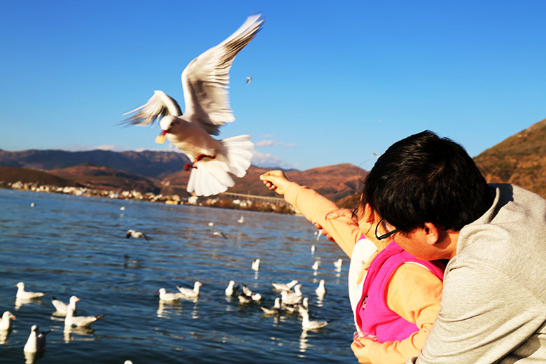 動力節(jié)點java培訓(xùn)