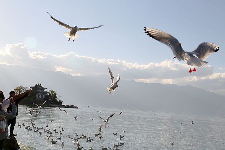 動力節(jié)點java培訓(xùn)