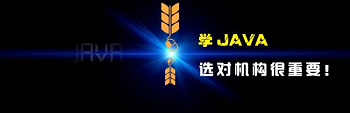 學Java編程語言 自學和專業(yè)培訓哪個好.png