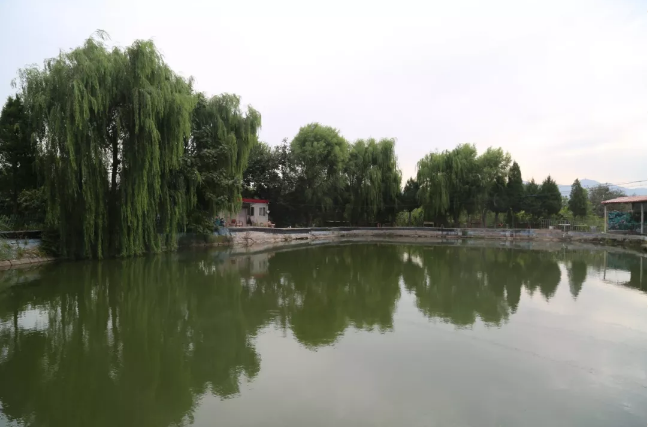 Java培訓(xùn),Java培訓(xùn)機構(gòu),Java培訓(xùn)班