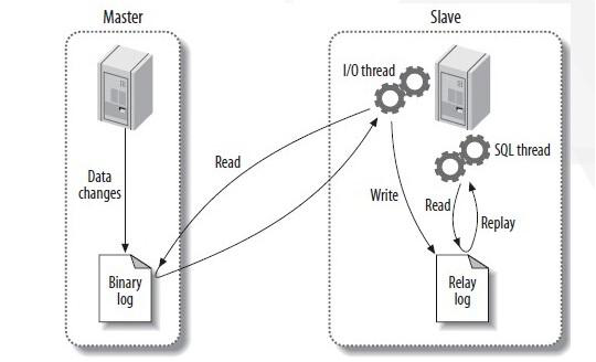 動(dòng)力節(jié)點(diǎn)只專注Java培訓(xùn)