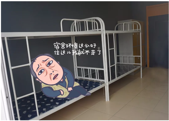 “蘇大強表情包”之動力節(jié)點版