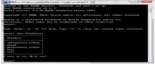Java DDL之操作數(shù)據(jù)庫視頻教程下載