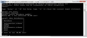 Java DDL之操作數(shù)據(jù)庫視頻教程下載