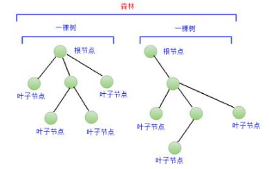 Java入門菜鳥教程下載之樹和二叉樹基礎(chǔ)